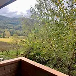 Ginko 3*