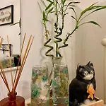 Ginko Bed and breakfast 3*