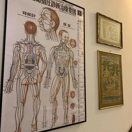 Ginko לינה וארוחת בוקר 3*