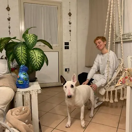 לינה וארוחת בוקר Ginko