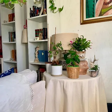 Ginko קסטרוקארו טרמה