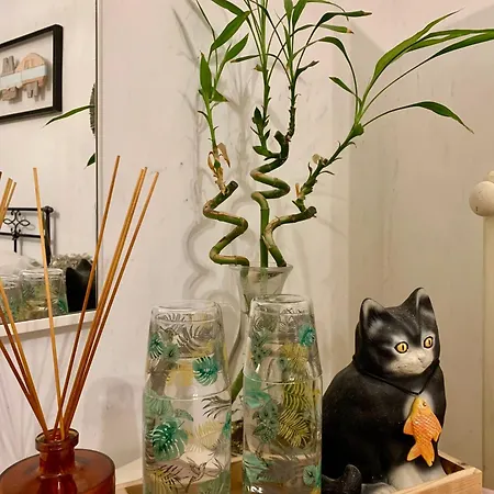 Ginko לינה וארוחת בוקר 3*