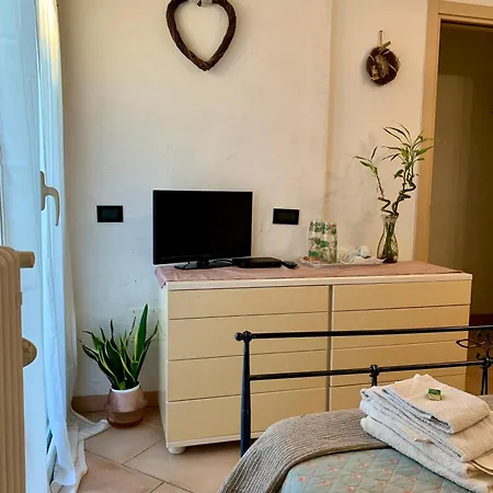 Ginko קסטרוקארו טרמה