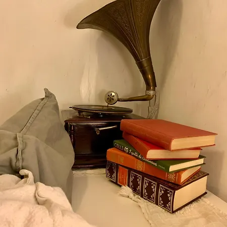 Ginko קסטרוקארו טרמה