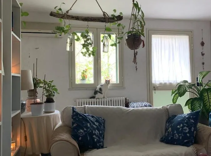 Ginko 3* Castrocaro Terme