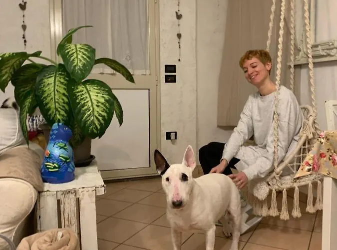 Bed & Breakfast Ginko