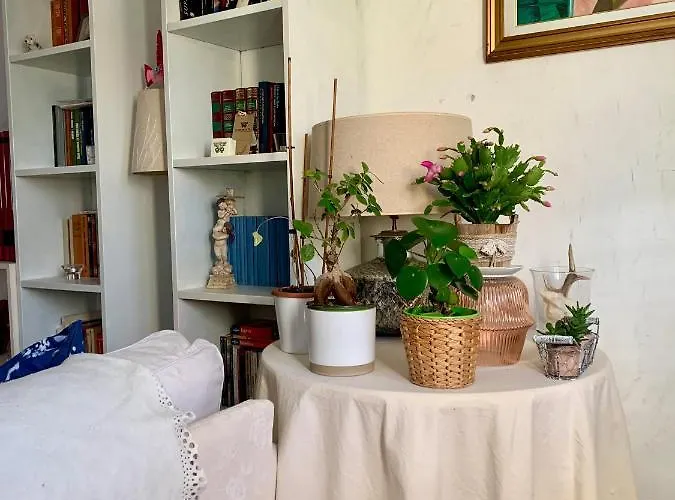 Ginko Castrocaro Terme