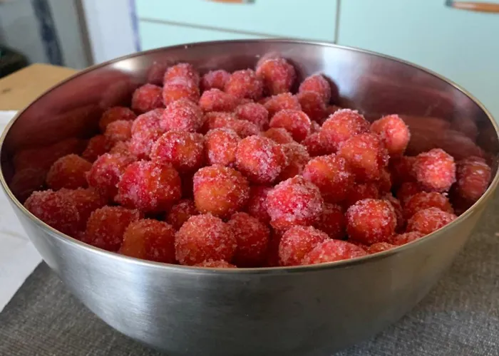 Ginko Bed and Breakfast Castrocaro Terme