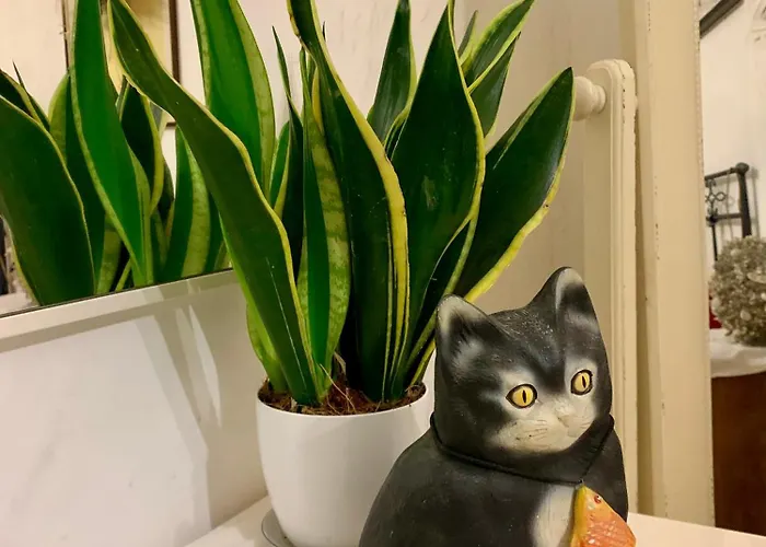 Ginko 3* Castrocaro Terme