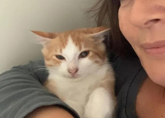 Ginko 3* Castrocaro Terme