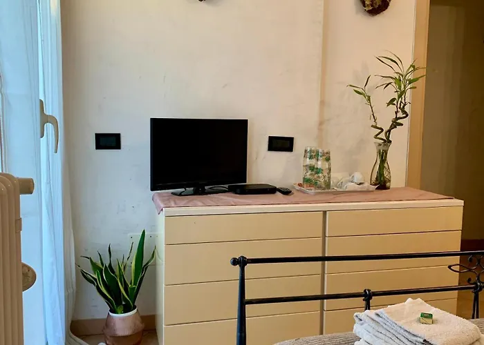 Ginko Castrocaro Terme