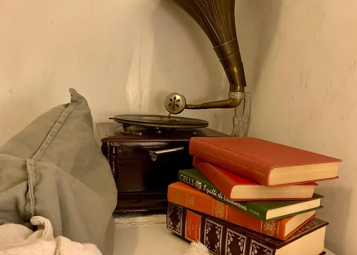 Ginko Castrocaro Terme